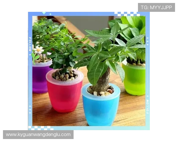 开运平台官网详细介绍，掌握提升运势的实用技巧与最新风水资讯