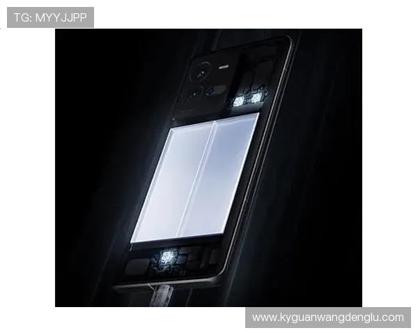 开云Kaiyun真人手机版安全可靠，保障玩家资金与个人信息安全的最佳选择