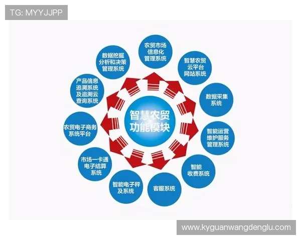 云开中国：推动云基础设施建设实现中国信息化快速发展的战略路径